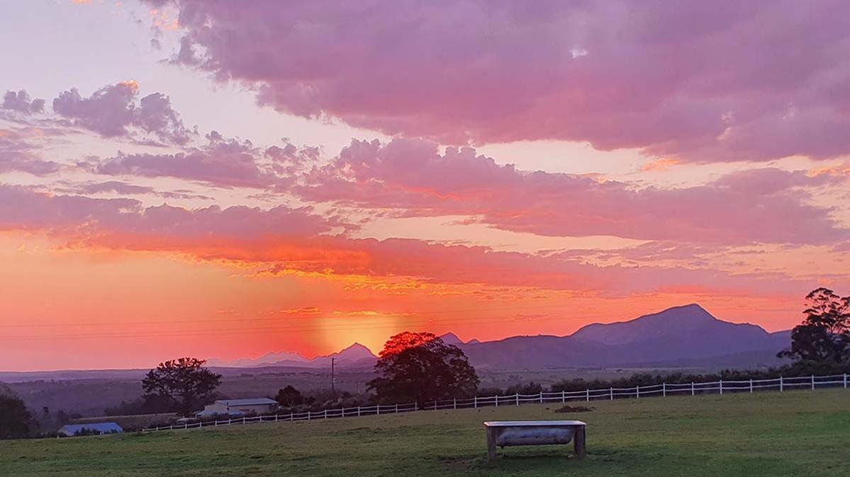 Outeniqua Moon Percheron Stud Farm Ruiterbos Buitenkant foto