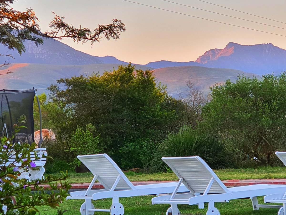 Outeniqua Moon Percheron Stud Farm Ruiterbos Buitenkant foto