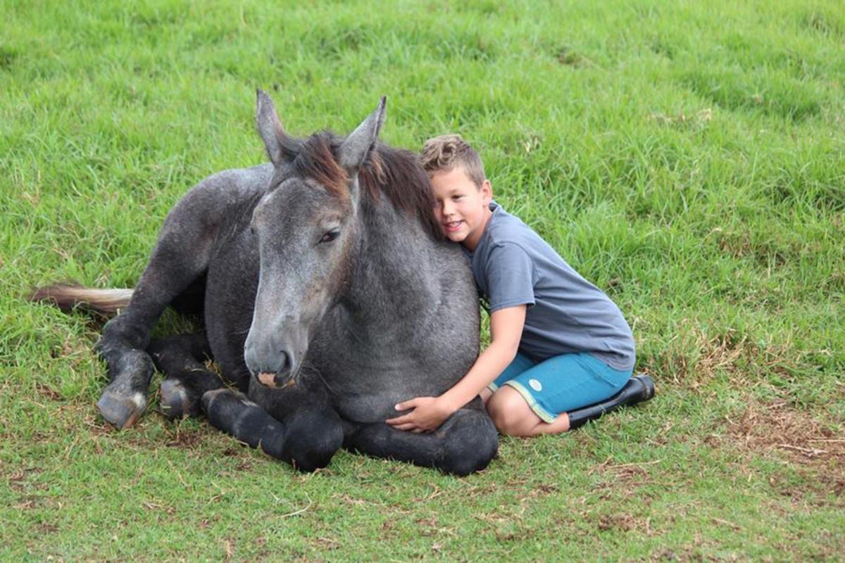 Outeniqua Moon Percheron Stud Farm Ruiterbos Buitenkant foto