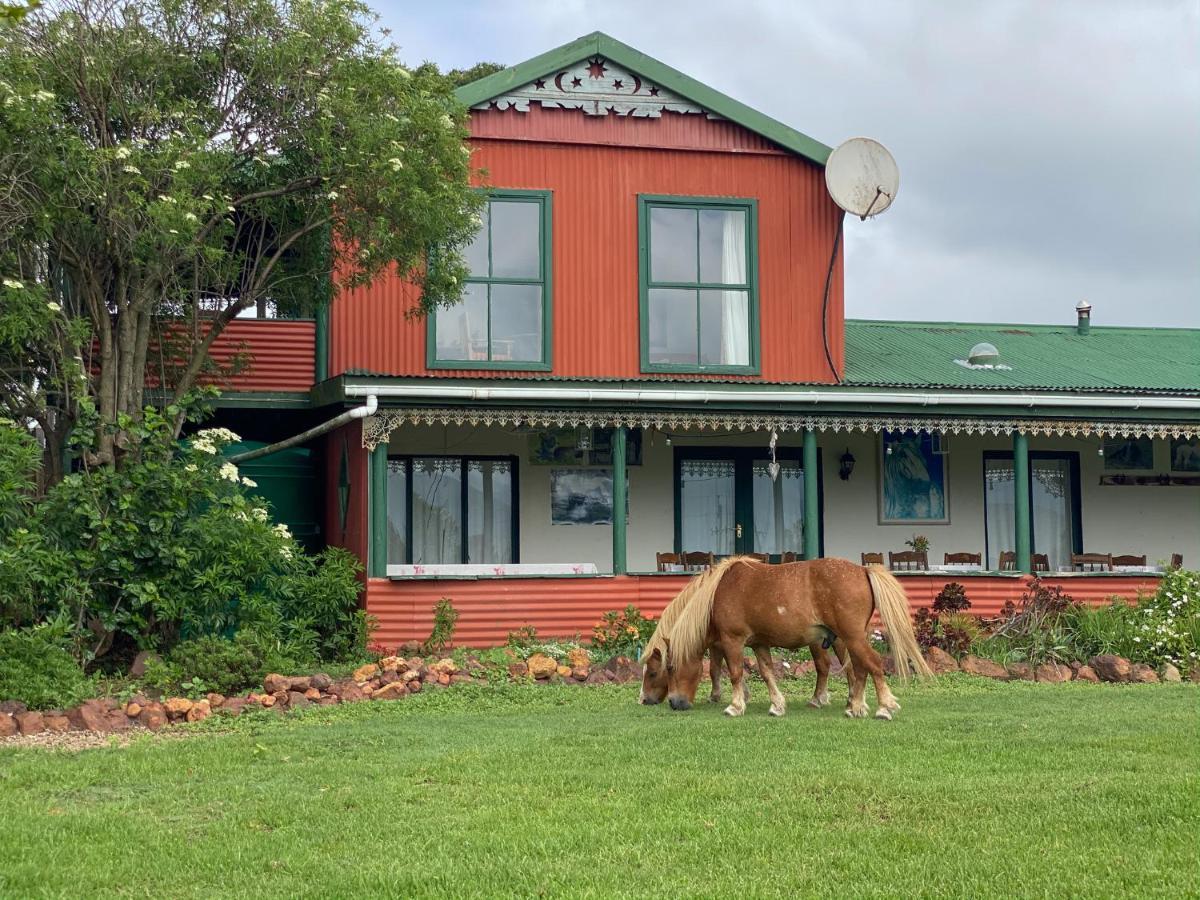 Outeniqua Moon Percheron Stud Farm Ruiterbos Buitenkant foto