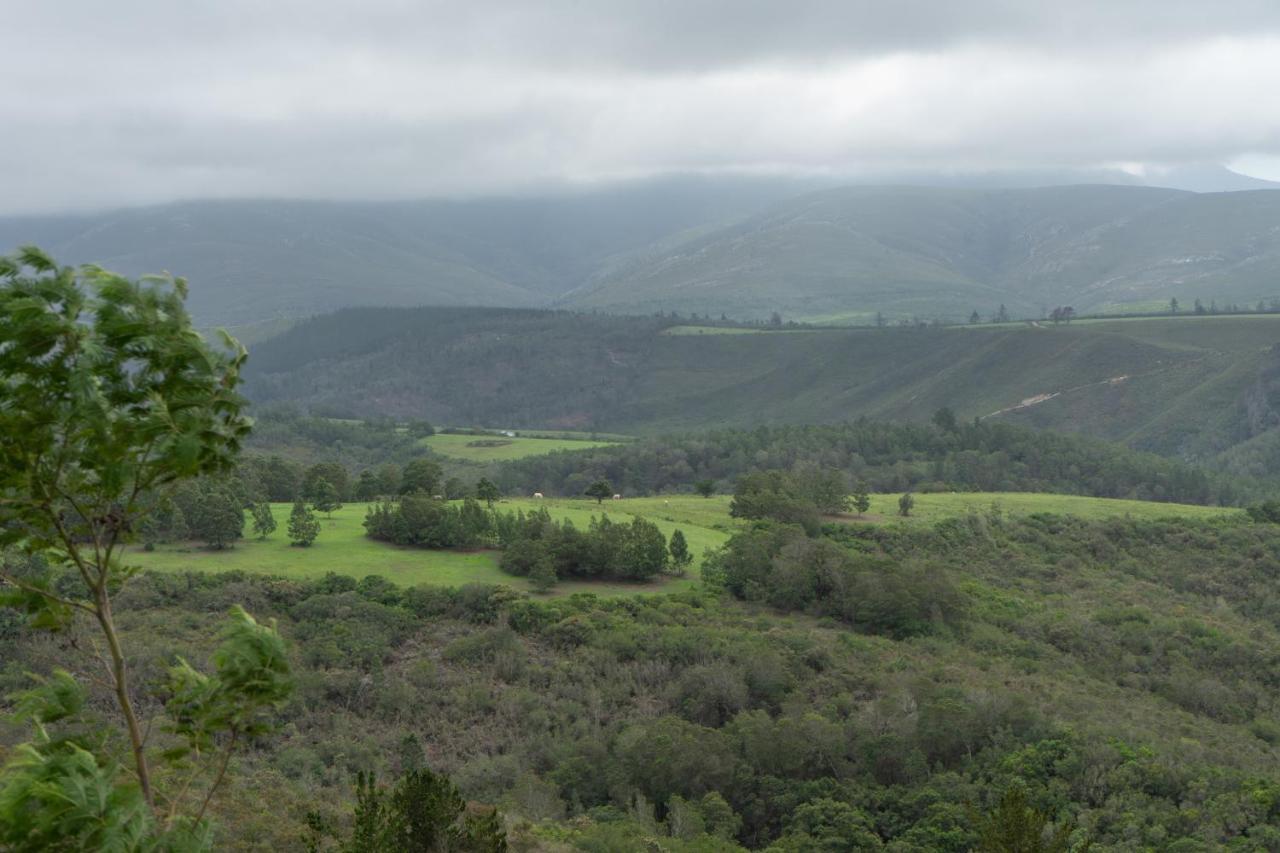 Outeniqua Moon Percheron Stud Farm Ruiterbos Buitenkant foto