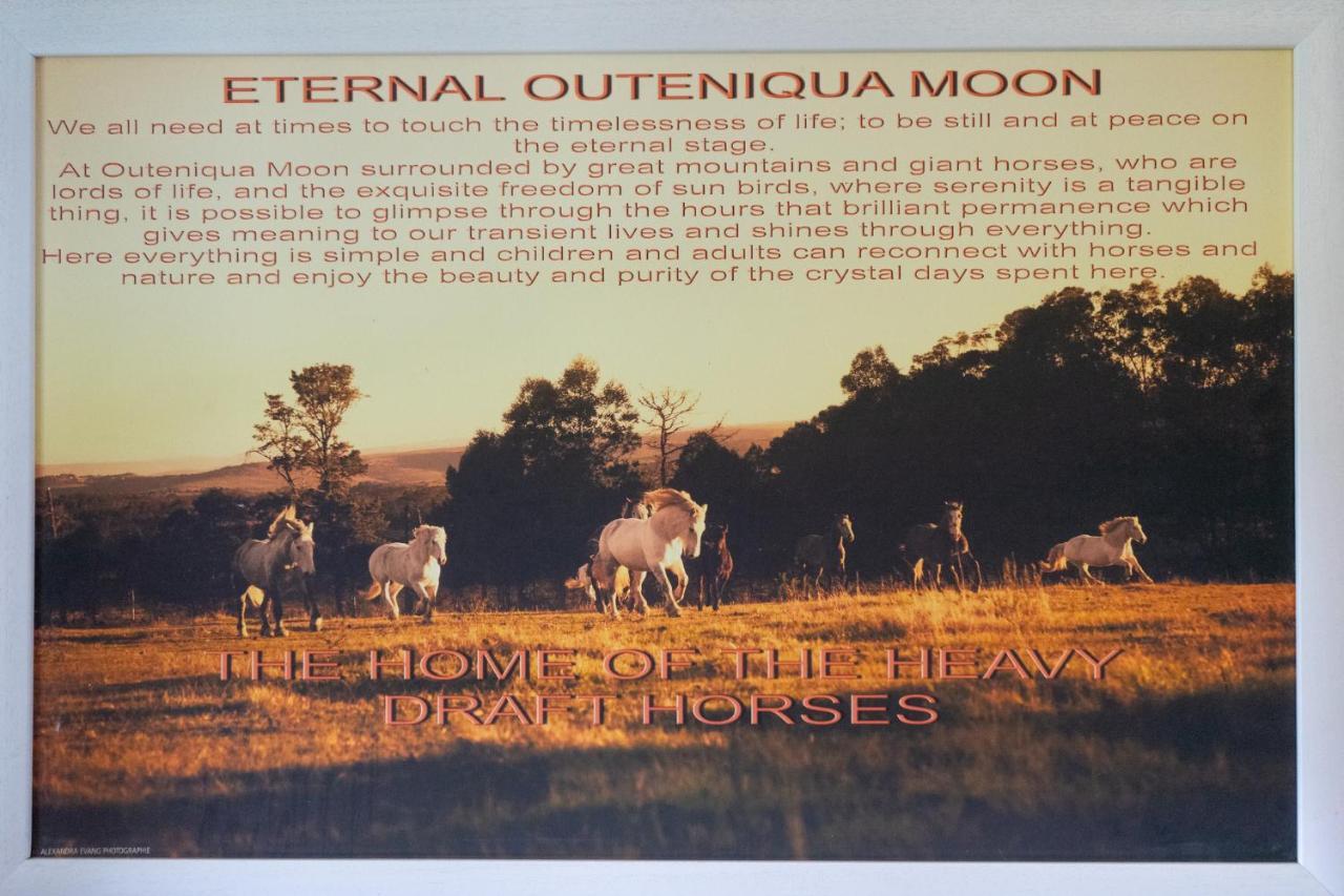 Outeniqua Moon Percheron Stud Farm Ruiterbos Buitenkant foto